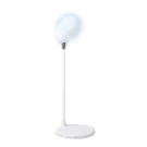 Lerex