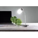 Lerex