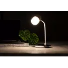 Lerex