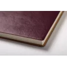 Paldon