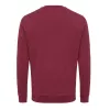 Iqoniq Zion recycled cotton crew neck