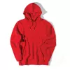 Felpa con cappuccio Iqoniq Jasper in cotone riciclato