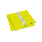Morf® Enhanced-Viz