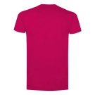 Evolution T-Shirt