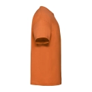 FR610330