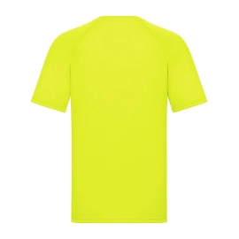 Performance T