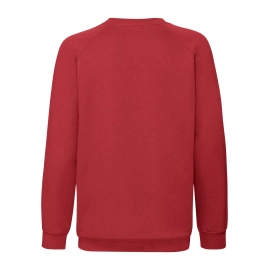 Kids Premium Raglan Sweat