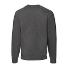 Classic Raglan Sweat
