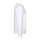Classic Raglan Sweat