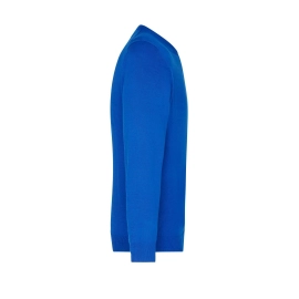 Men's V-Neck Pullover