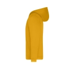 Sweat capushe zippé Promo Homme