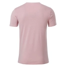 Men's Basic-T