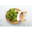 Tabbouleh