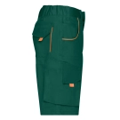 Workwear Bermudas - COLOR -