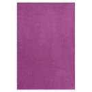 Couverture polaire Microfibre