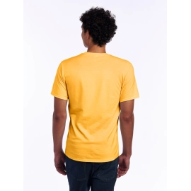 Essential Cotton T