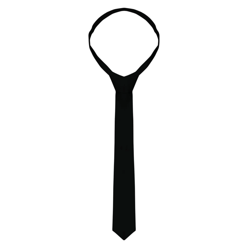 Necktie 148 x 6,5 cm