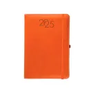 Daily diary 2025 with pen holder 12X18 CM