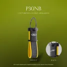 P30NB