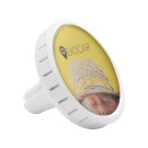 Roshen