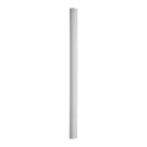 Carpenter