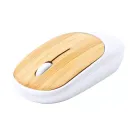 Diguan