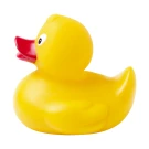 Squack