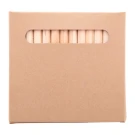 Penxil 12 Eco