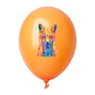 CreaBalloon