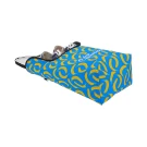 SuboBag Shoe