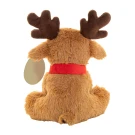 Nordeer