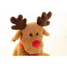 Nordeer