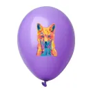 CreaBalloon