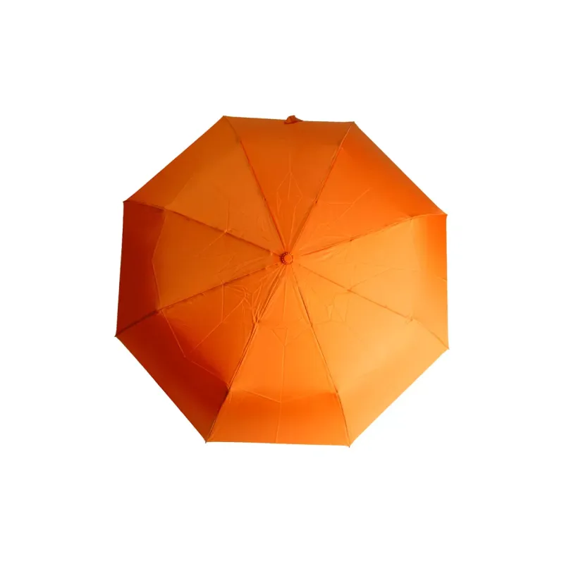 Kasaboo