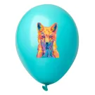 CreaBalloon