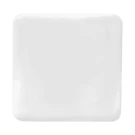 MagBadge Square