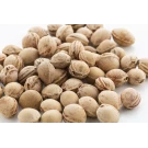 PitHeat Ear