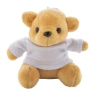 TeddyFob