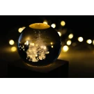Borealis