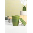 Grappulu