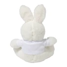 Rebunny