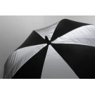 Radians XL