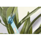 PlantTag