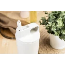 Sippulu