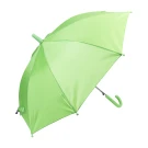 Minirain