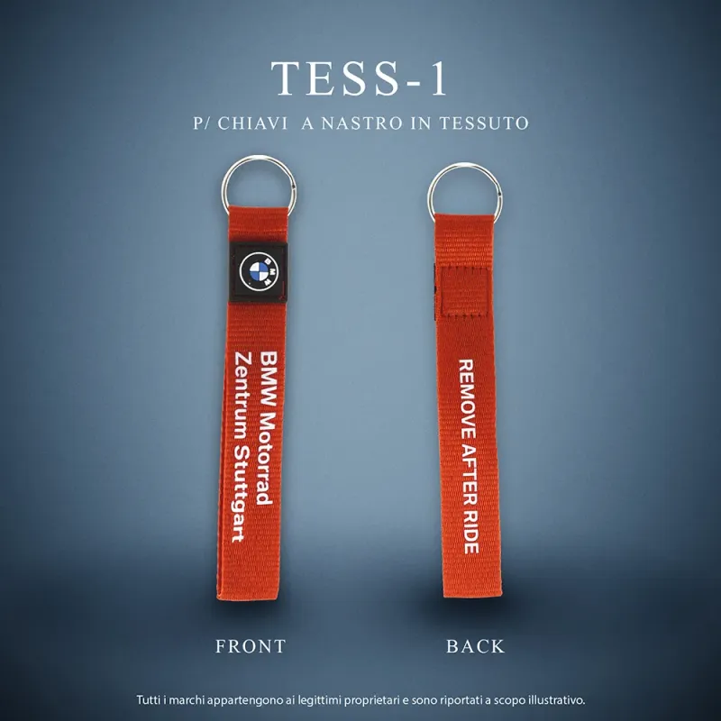 TESS-1