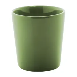 Angulus