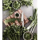 Coltello da chef VINGA Hattasan