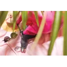 VINGA Lean Wasserflasche