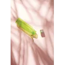 VINGA Botella de agua de tritán Lean